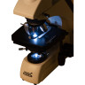 Микроскоп LEVENHUK MED 30B, бинокулярный 73996